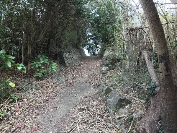 かなり整備された遊歩道