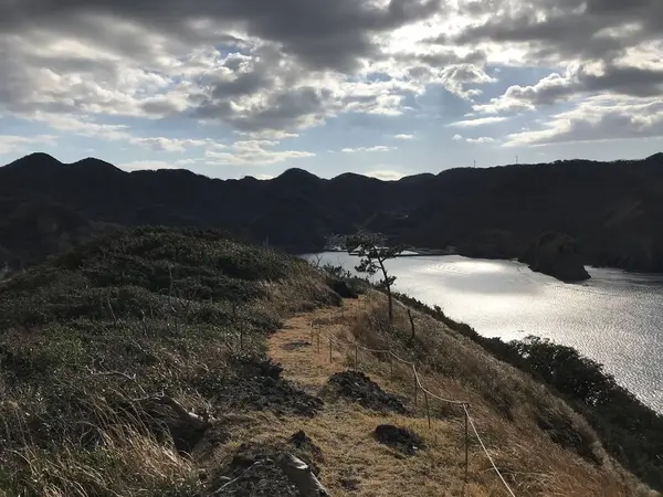 海面がキラキラ輝いて