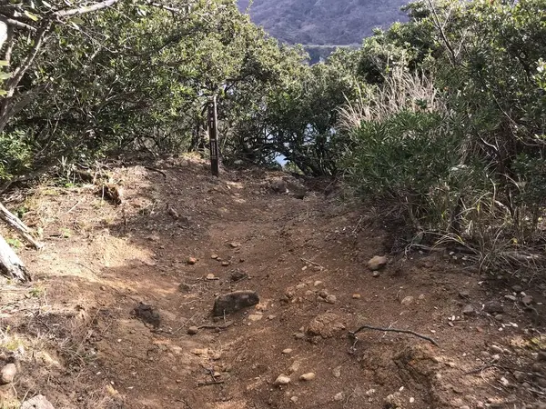 どこぞの山道？w