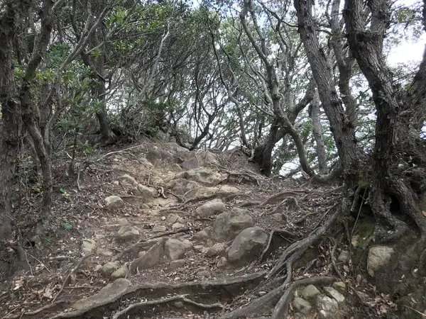 どんどん下ります。