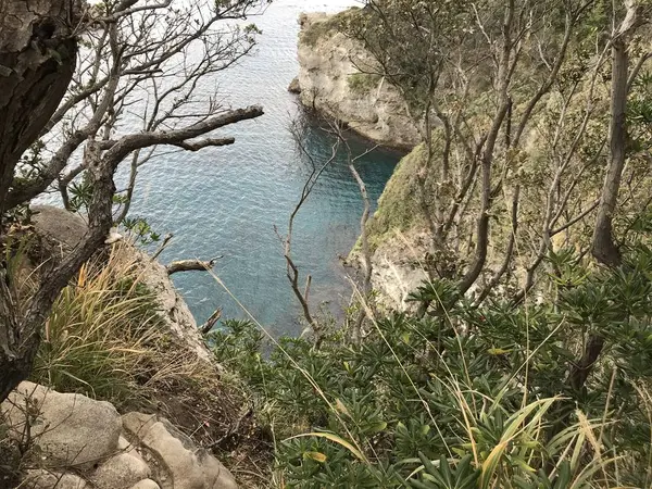 海面が低い^ - ^