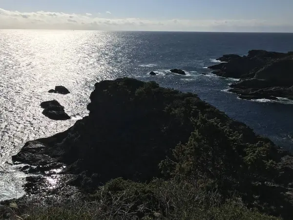 低いとはいえ、高いのですけどねw