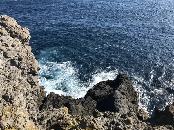 本当の先っちょです。