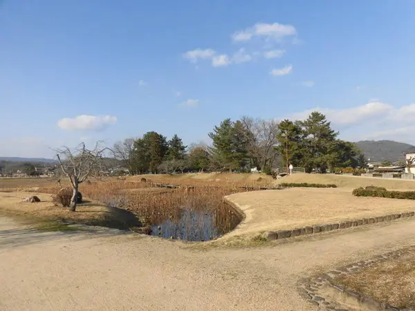 公園