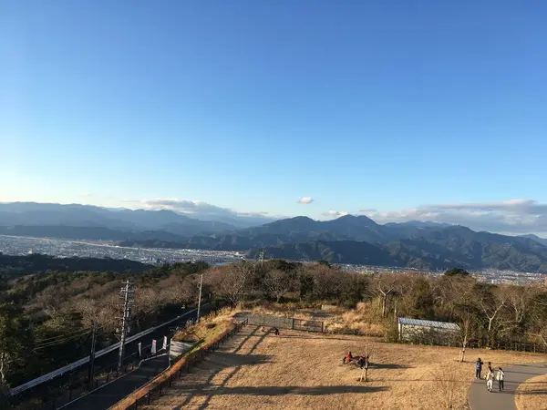 日本平から臨む静岡市内