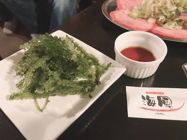 スポット内のおすすめ