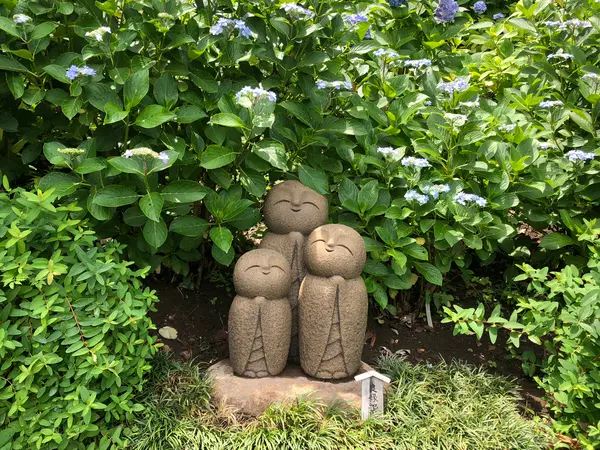 6月上司