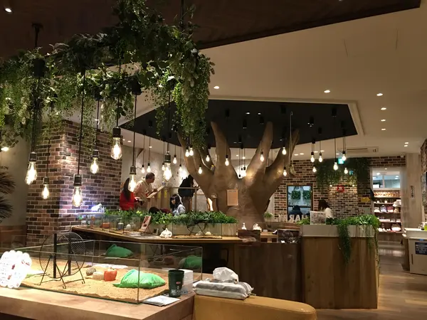 ハリネズミcafe HARRY内装