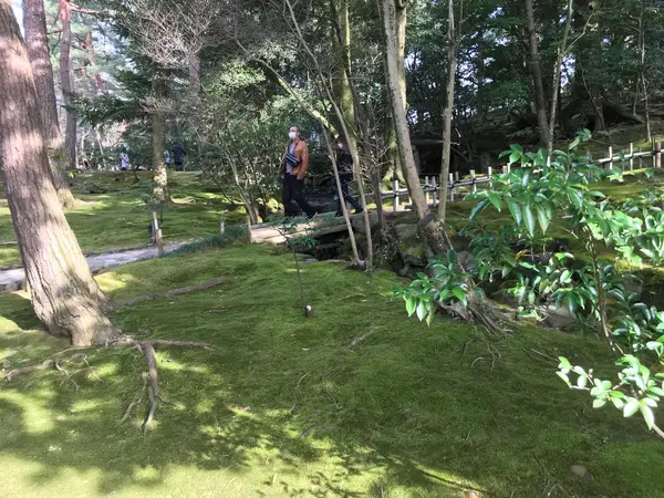 見事に計算され尽くされた庭園美