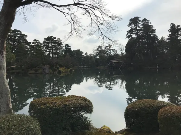水が綺麗