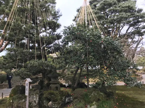 欲を言えば雪が見たかった。