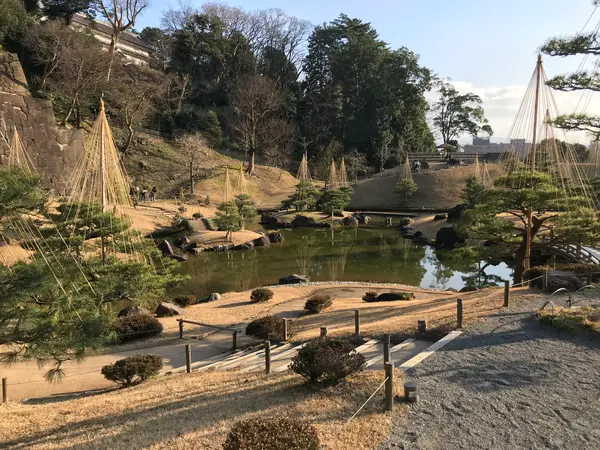 いやいや、美しい。