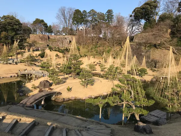 ライトアップもされる様です。
