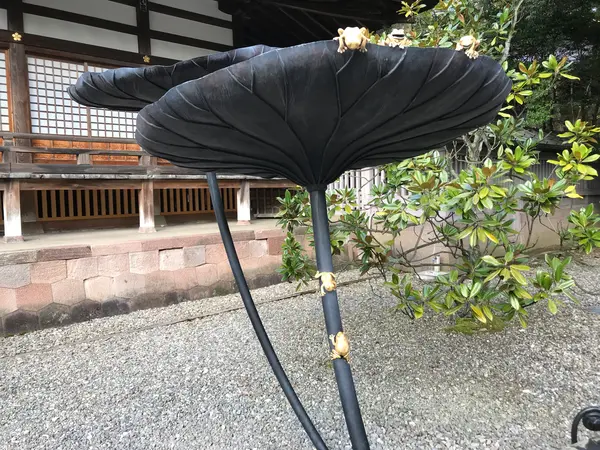 因みに蓮にカエル