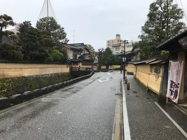 薦がけもバッチリですね