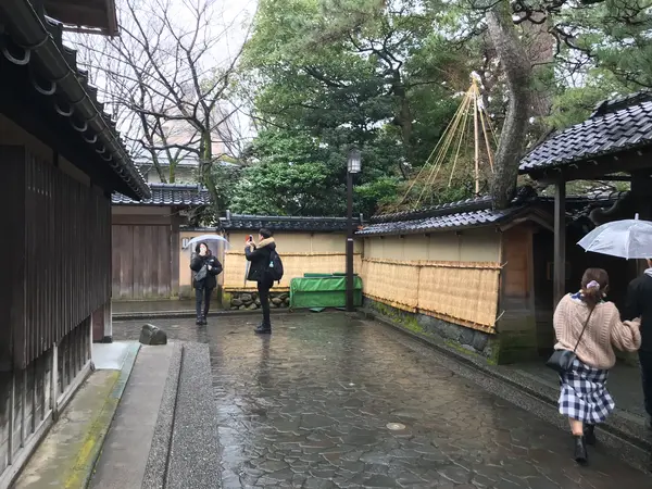 レンタル着物率高しw