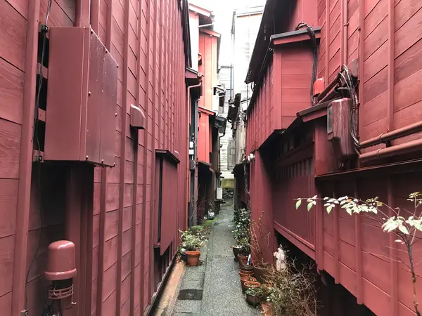 良いのか悪いのかも分からなくw