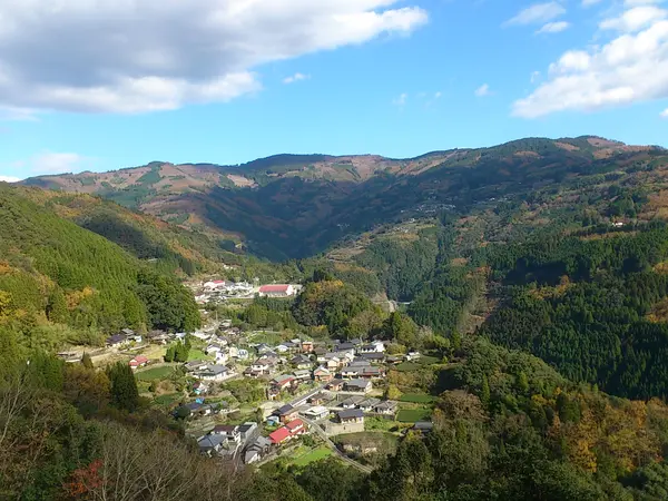 オススメ情報