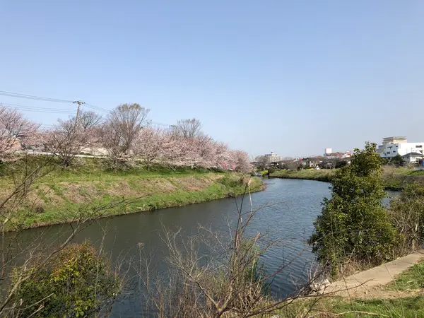 八千代市付近(砂利道)
