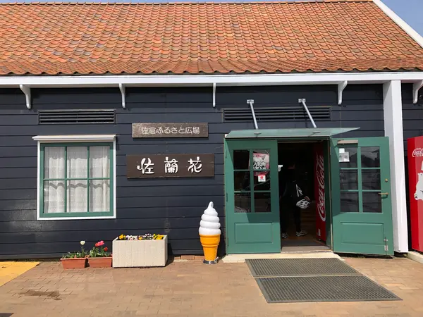 佐蘭花