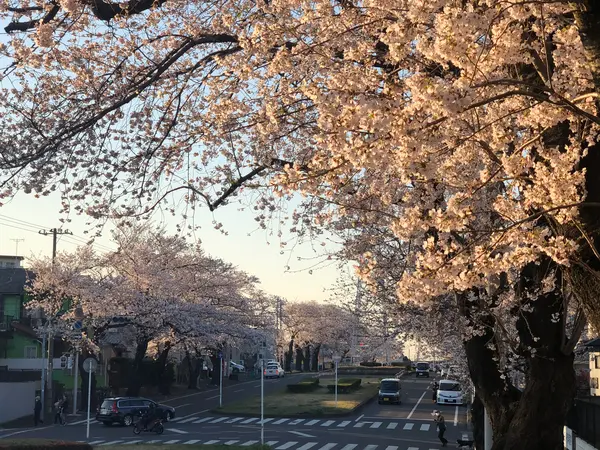 坂の上