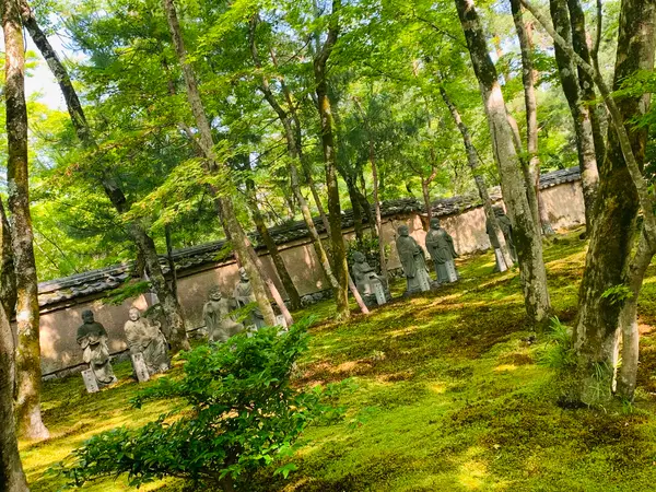 苔と羅漢