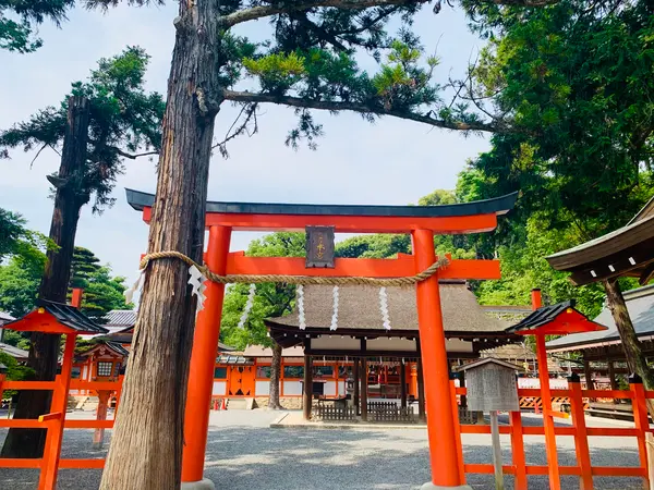 本宮へ