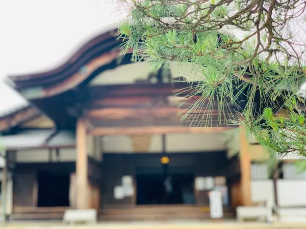 三宝院と松