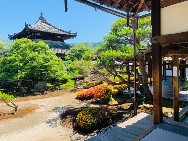 舎利殿と本庭