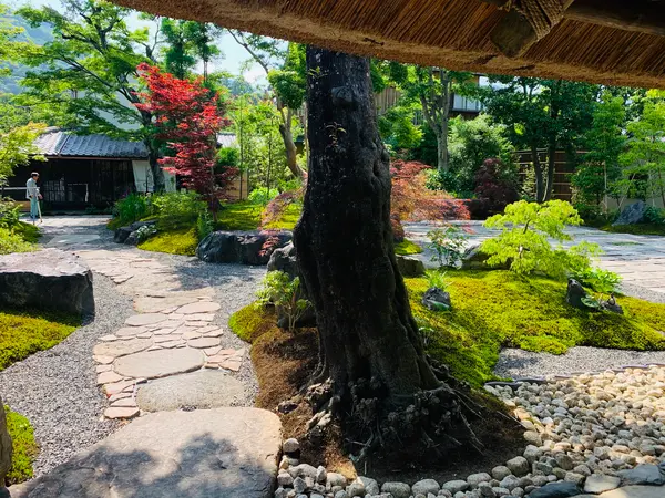 お庭