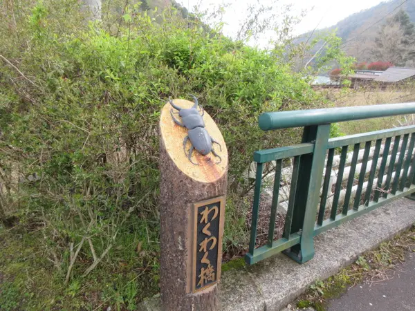 かぶと・くわがたわくわく館