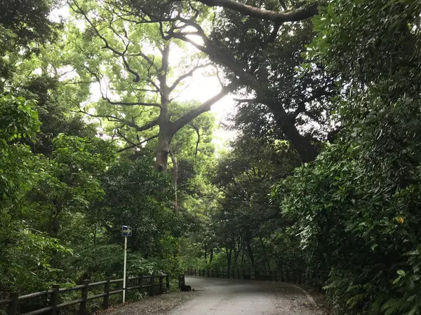 おはやしの中も