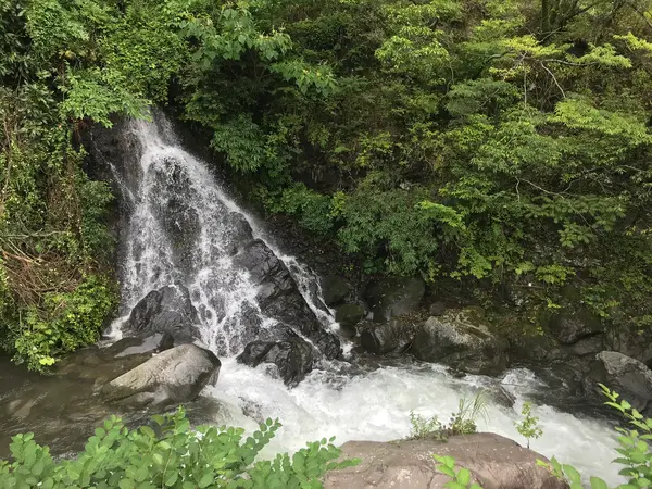 湯河原五滝　だるま滝