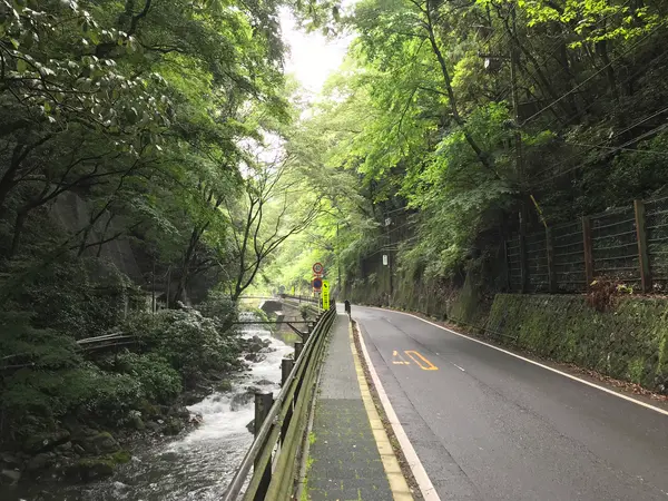 水量が本当にゴイスー
