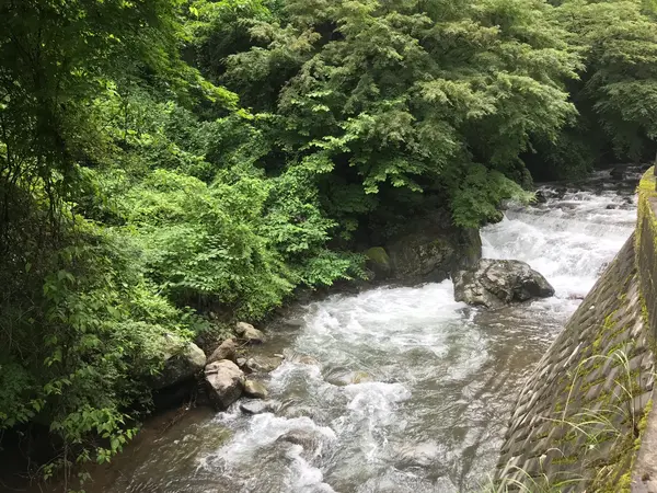 めっちゃ風が〜♪