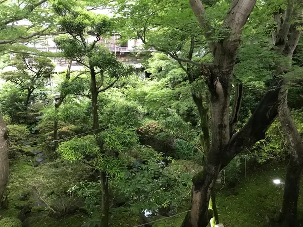 庭園に面した部屋