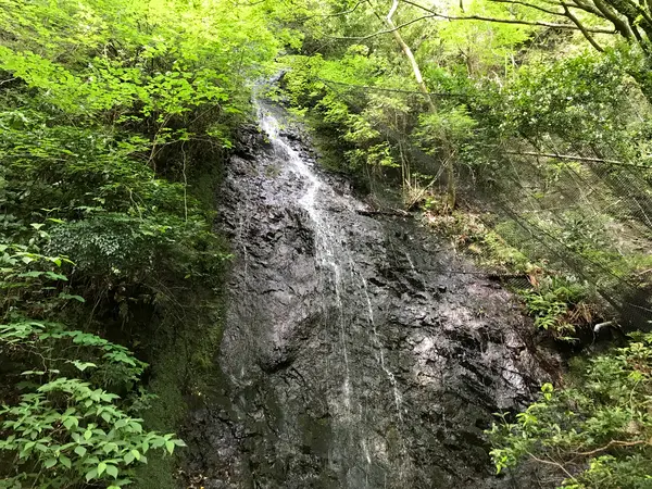 白龍の滝を見上げます。