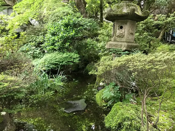 池と灯篭