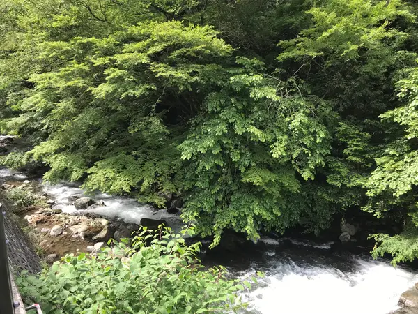 宿をチェックアウト^_^