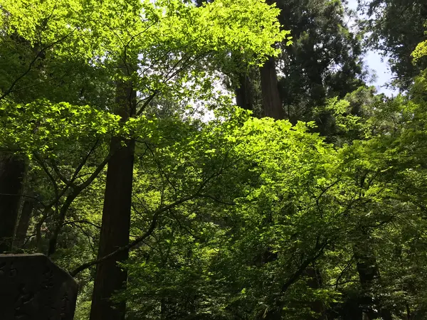 宿坊も完備