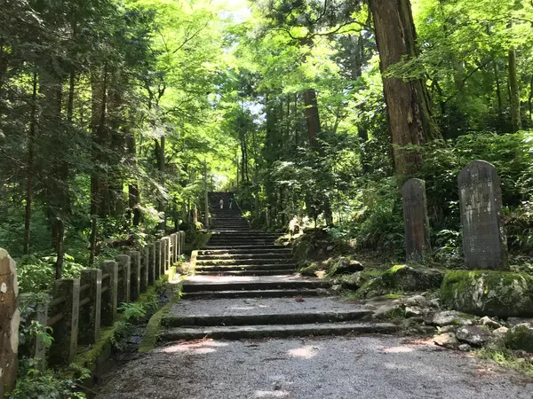 参道は続くよどこまでもw