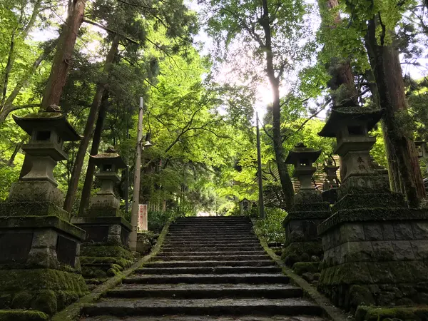 そろそろ参道も