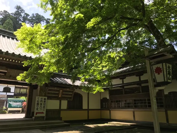 何ともまぁ、憎い配置です。