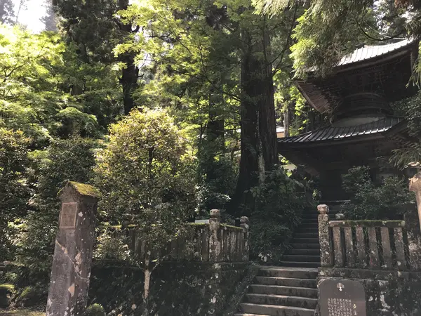 人も少ないので落ち着けます。