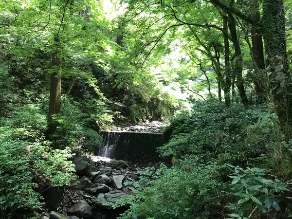 境内を流れる川