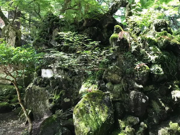 全く持って何が何だかw