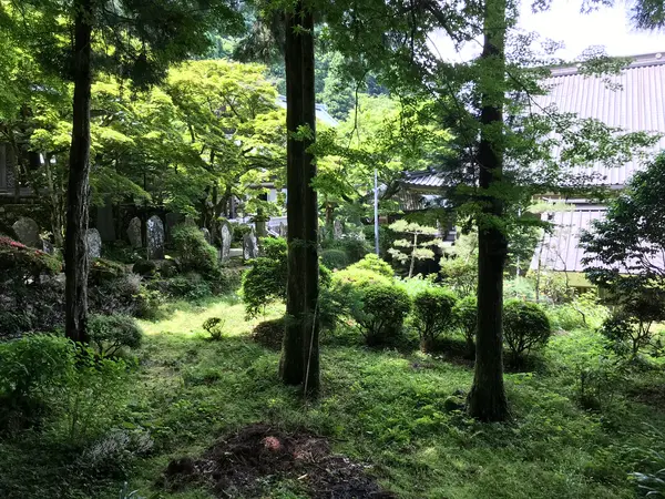 庭園ちっくな広場