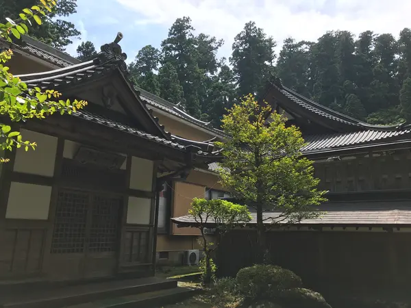 ココで一旦参道へ