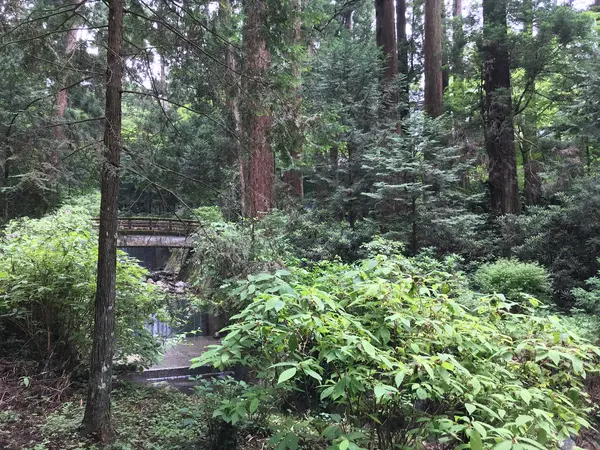 川の流れに沿って迂回