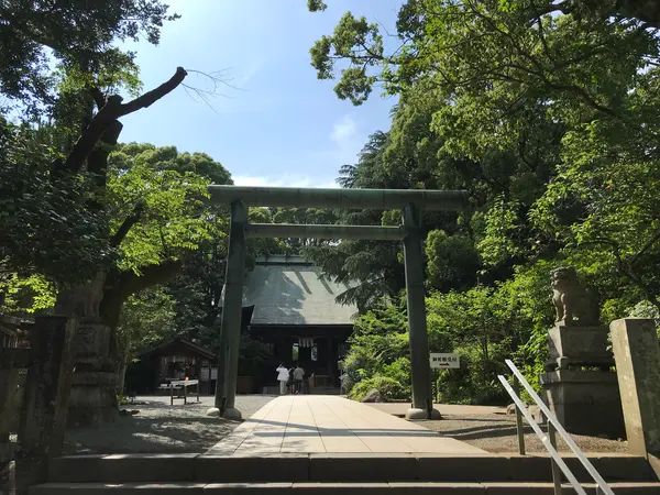 小田原のど真ん中です。